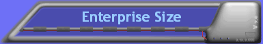 Enterprise Size